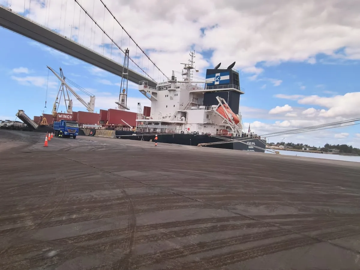 ‘We aren’t eating SA’s lunch,’ says Maputo port CEO