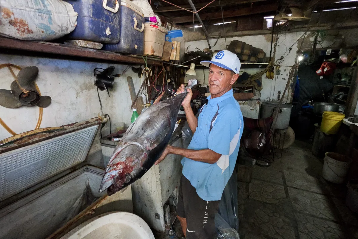 La economía de La Guaira se hunde tras la parálisis del sector comercial