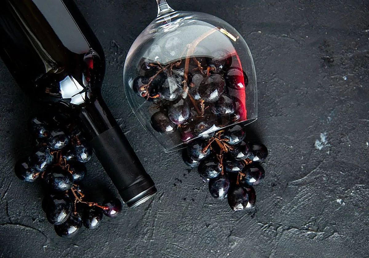 Comparativa de las mejores tiendas de vino de 2026: Decántalo, Lavinia, Quiero Vinos y más