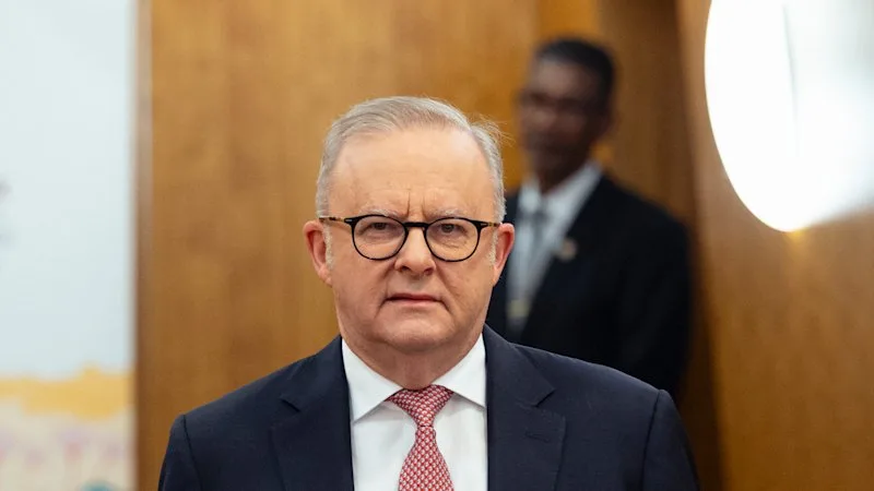 ‘Facilitating censorship’: US slams Albanese’s algorithm reforms