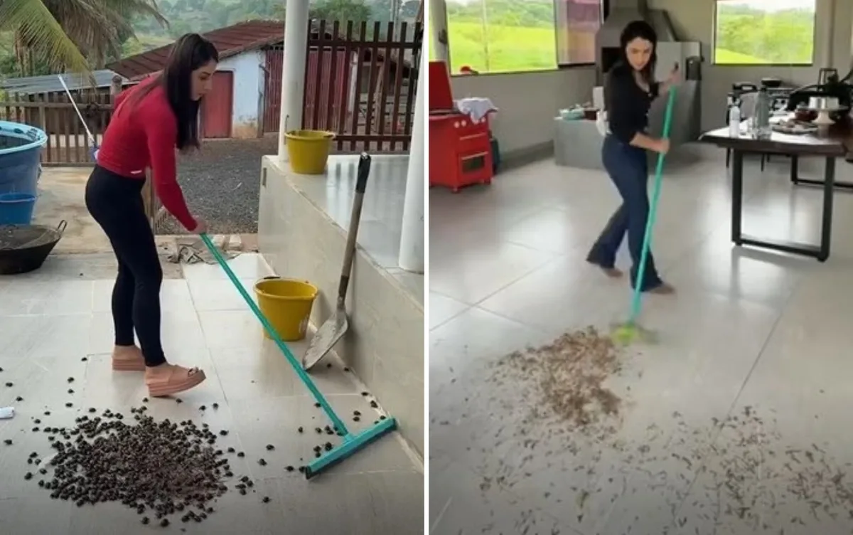 Goiana que mora na roça viraliza ao mostrar vídeo de casa tomada por insetos: ‘Um dia é besouro, outro é aleluia’