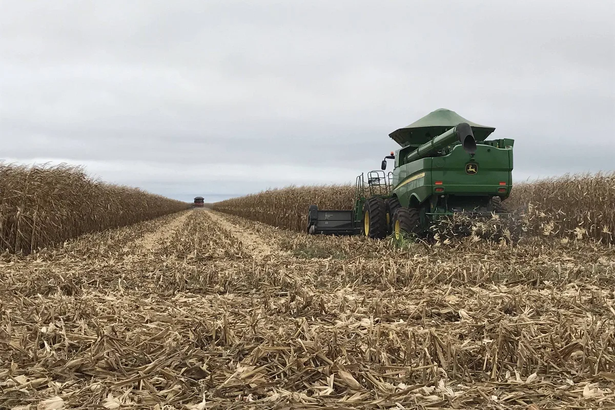 Agro impulsiona interior e faz produtividade do Brasil mudar de endereço