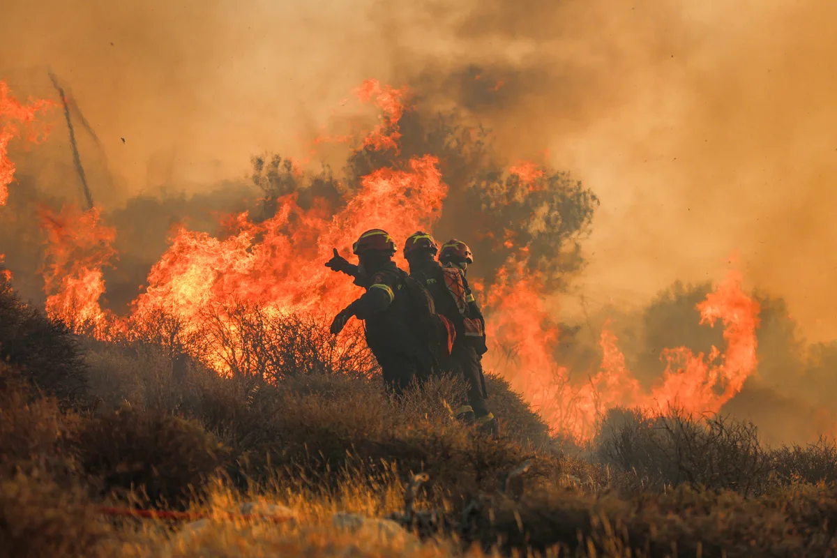 PJ detém homem que confessou autoria de incêndio no Sabugal