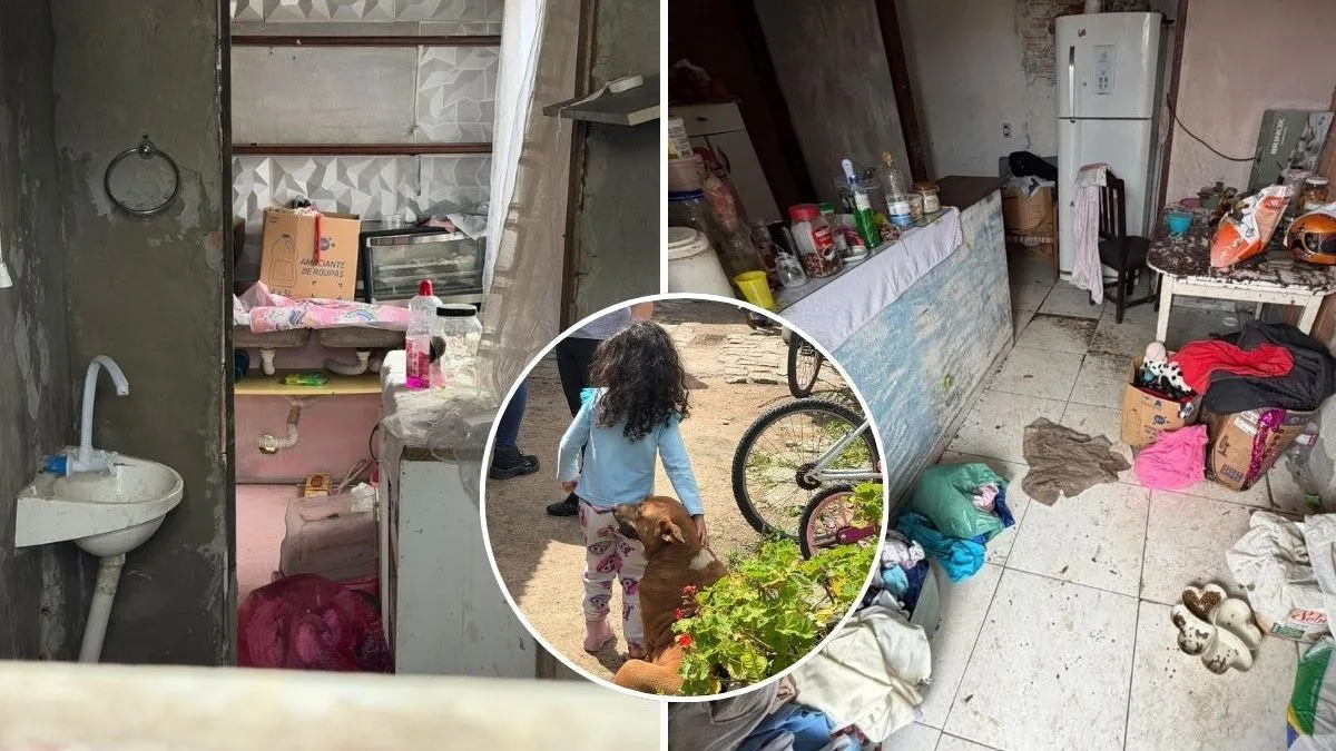 ‘Totalmente insalubre’: família vive com crianças e animais em meio ao lixo em Tijucas