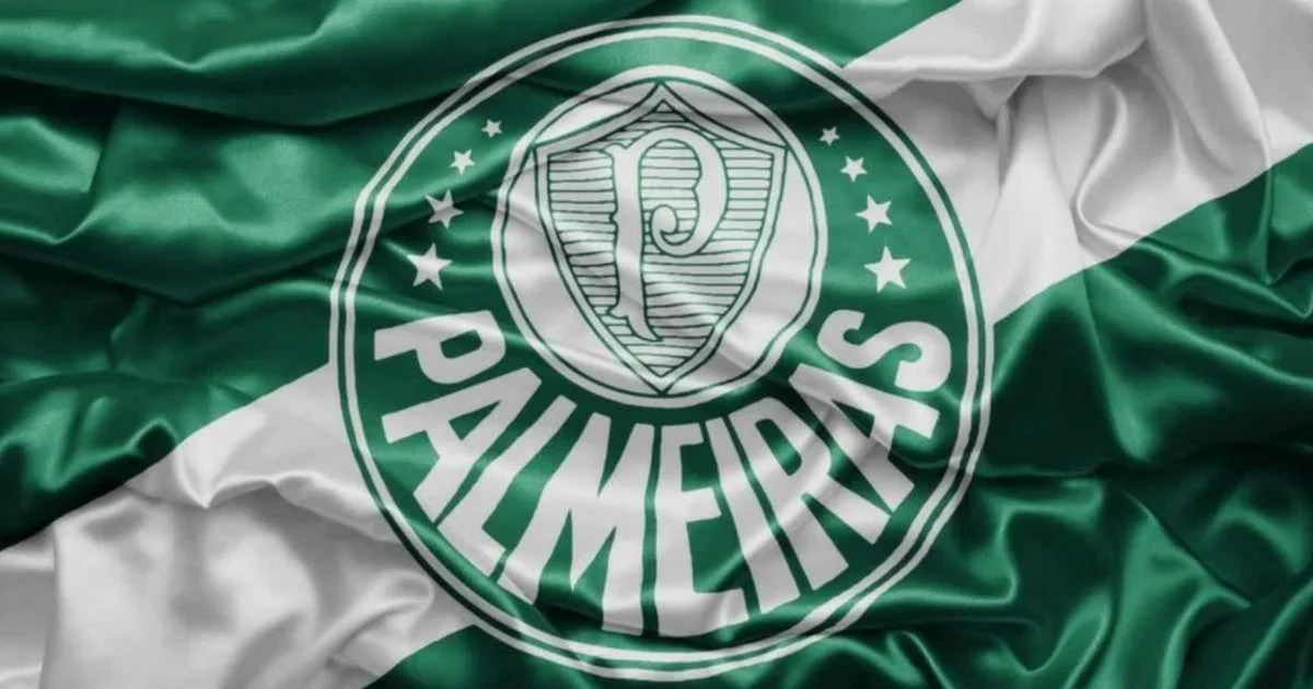 Vídeo: pênalti não é marcado contra o Palmeiras na Libertadores