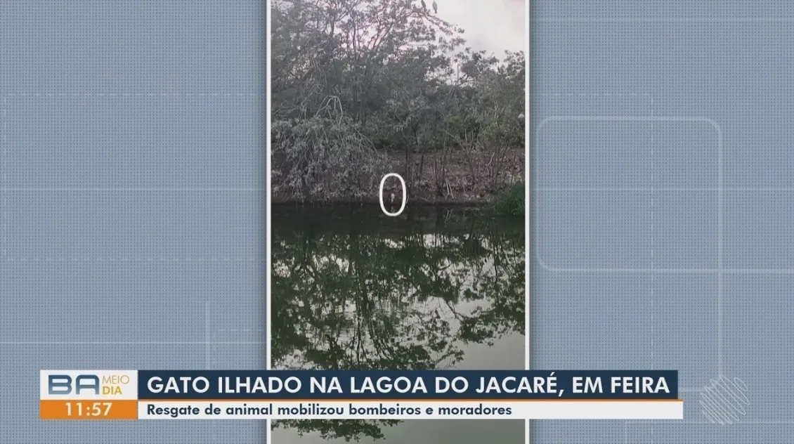 Vídeos do g1 e TV Subaé - terça-feira, 11 de agosto de 2026