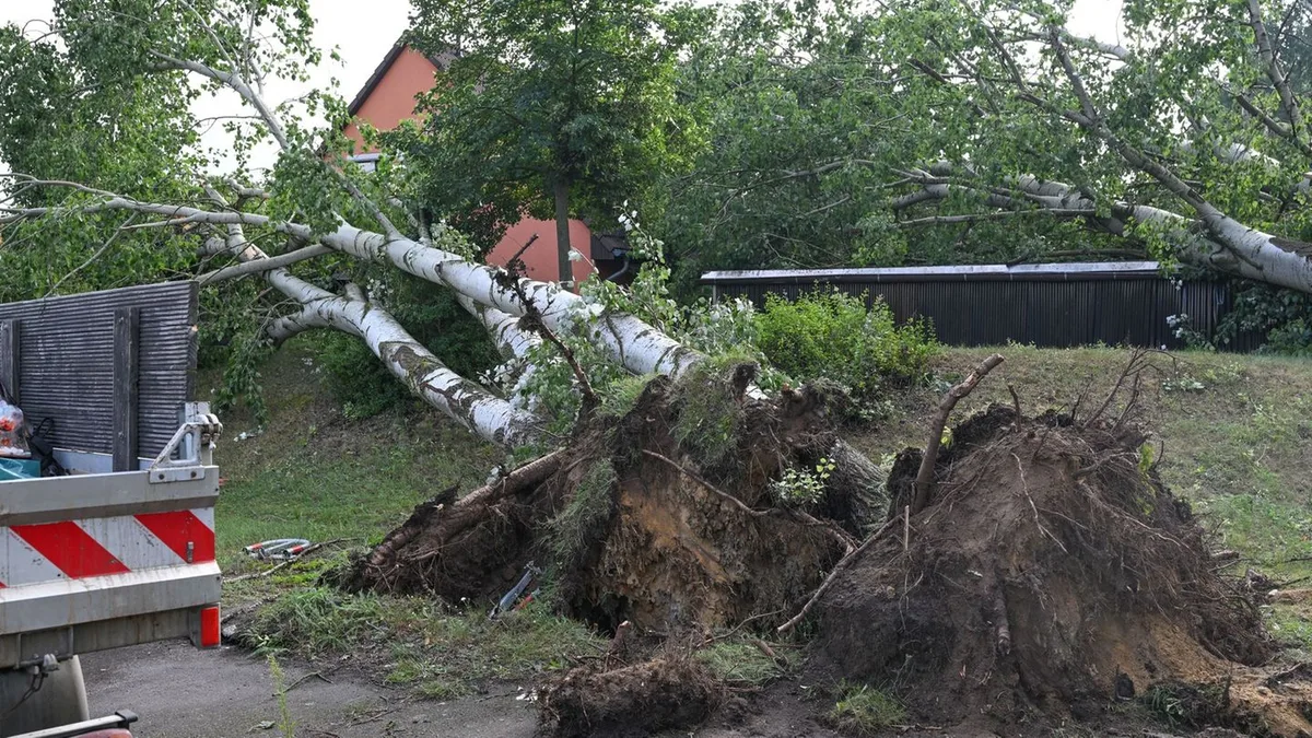 Unwetter über Deutschland: Was ist ein Tornado und wie wird er bestätigt?
