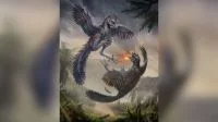 Por que este pequeno dinossauro de quatro asas está mudando o que sabemos sobre as aves?