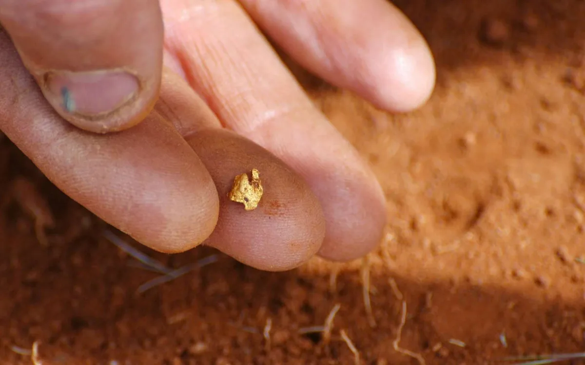 Cet Australien pensait avoir trouvé une pépite d'or, il tenait en réalité un fragment plus vieux que le Système solaire