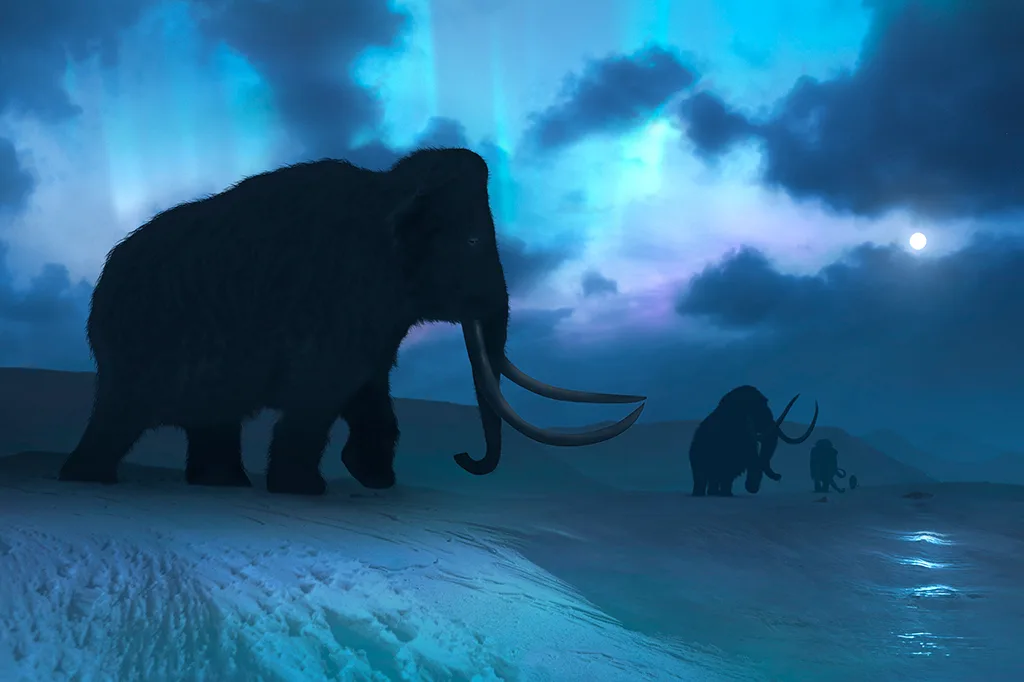 Mamute e mastodonte: entenda as diferenças entre os elefantes pré-históricos