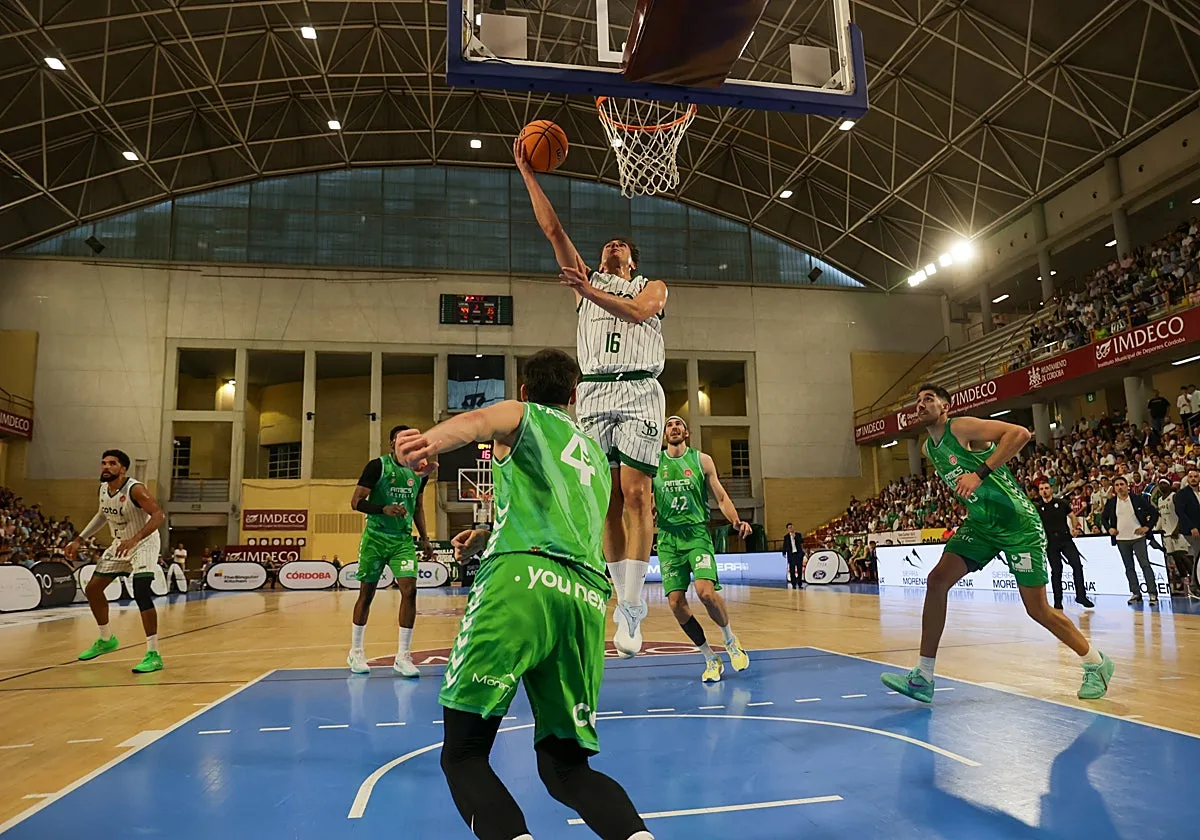 Vista Alegre albergará finalmente el estreno en la Copa Andalucía del Coto Córdoba ante el Covirán Granada