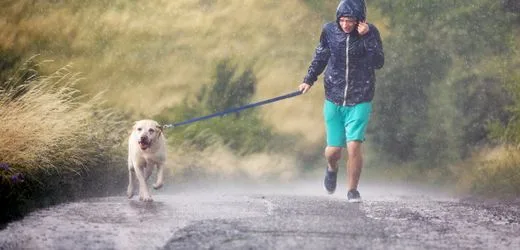 Hunde und Fitness: Warum Hundehalter gesünder leben – und was sie beachten müssen