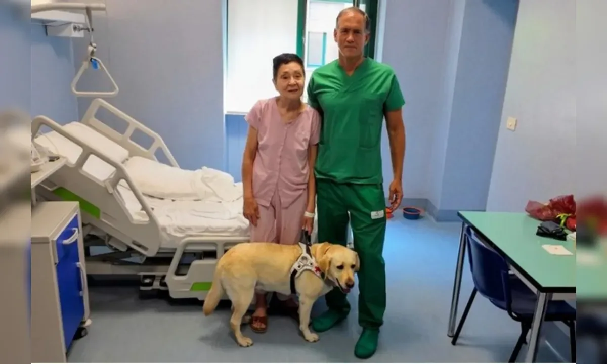 Mulher cega há 5 anos recupera visão após cirurgia inédita