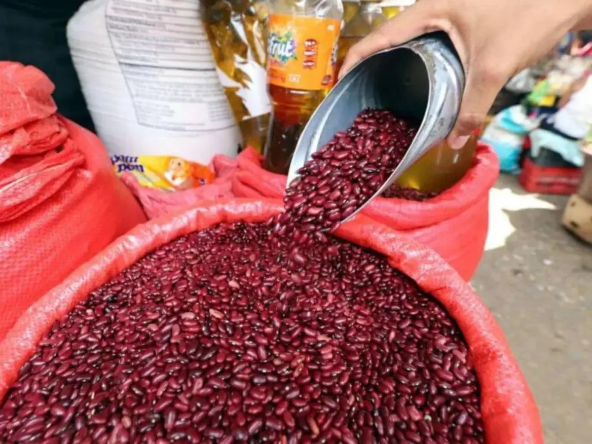 Sequía pone en riesgo 6.9 millones de quintales en El Salvador y amenaza el abastecimiento de frijol a partir de noviembre, advierte dirigente gremial