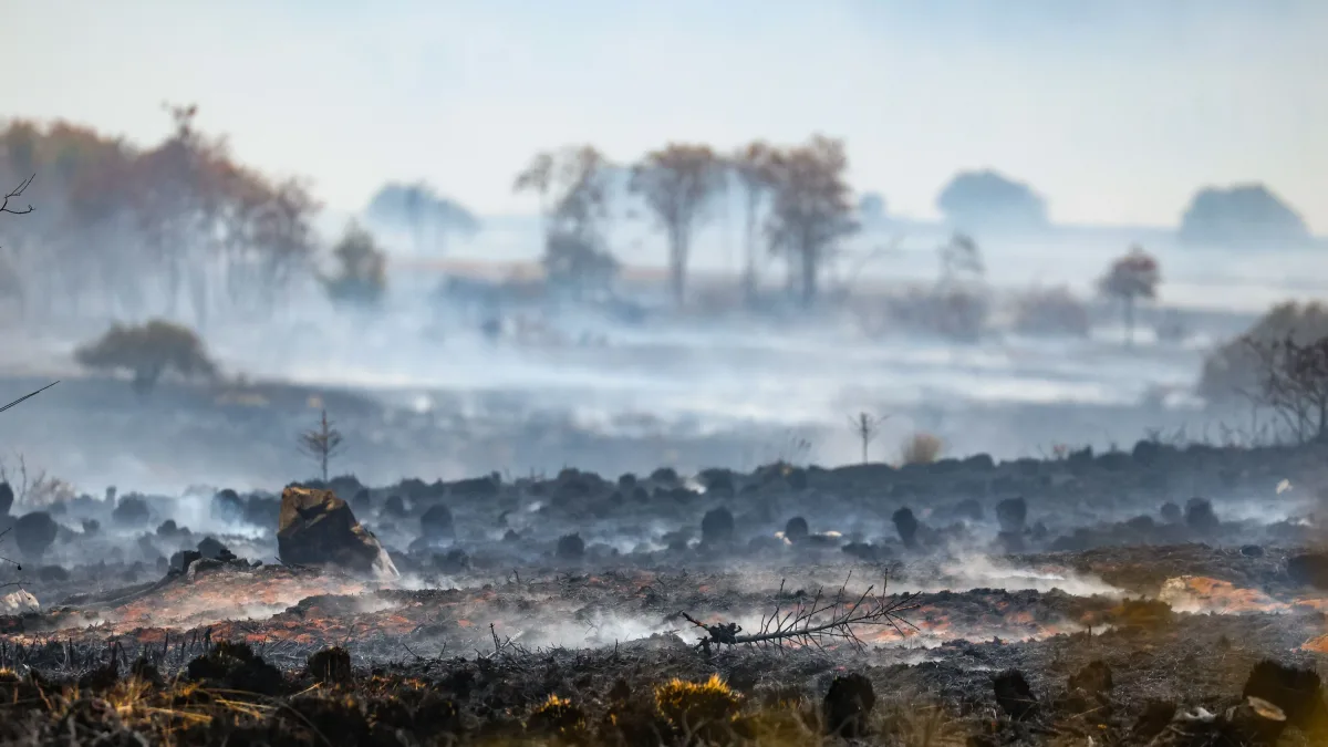 Brand im Hohen Venn: „Fast alles Leben ist erst mal weg“