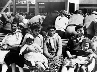 Après 150 ans d’isolement total, ces hommes et femmes ont été arrachés de leur île : voici leur histoire