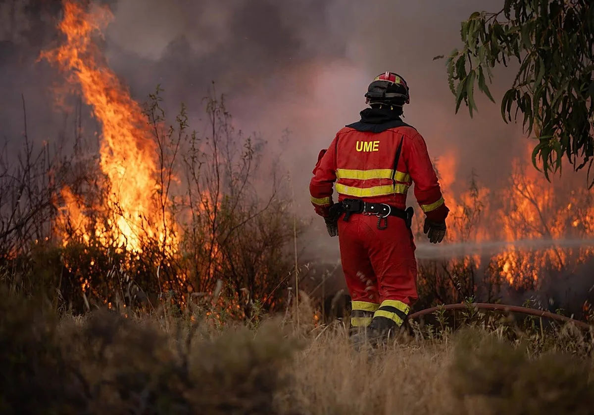 El incendio de Niebla calcina gran parte de un paraje de alto valor ecológico