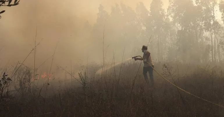 Mais de 70 concelhos em perigo máximo de incêndio rural