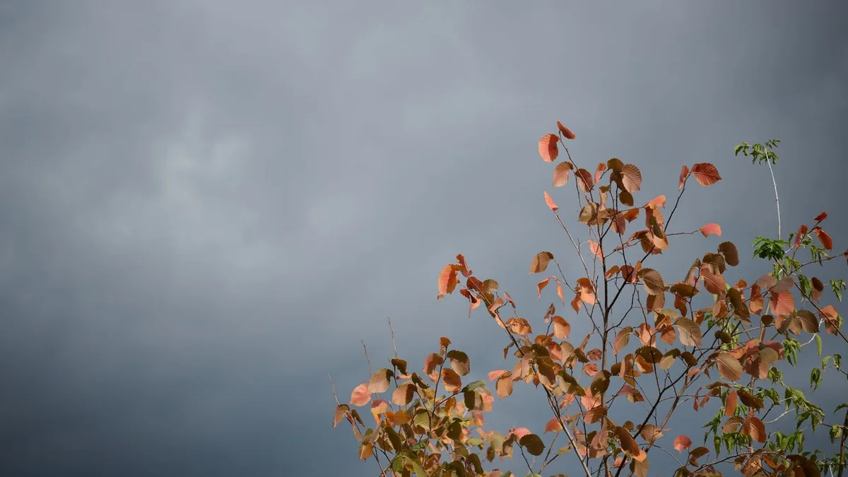 Wetter: Dicke Wolken und teilweise Regen