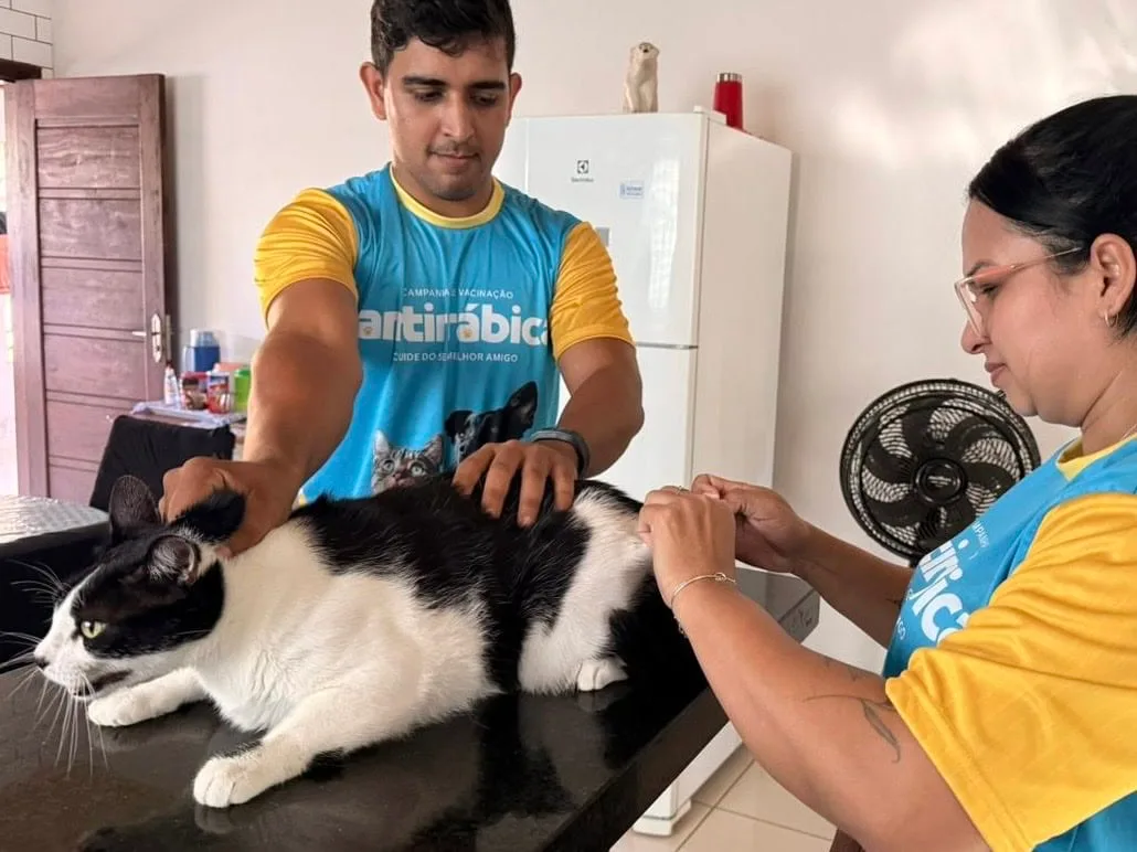 Cruzeiro do Sul inicia vacinação antirrábica de cães e gatos de casa a casa