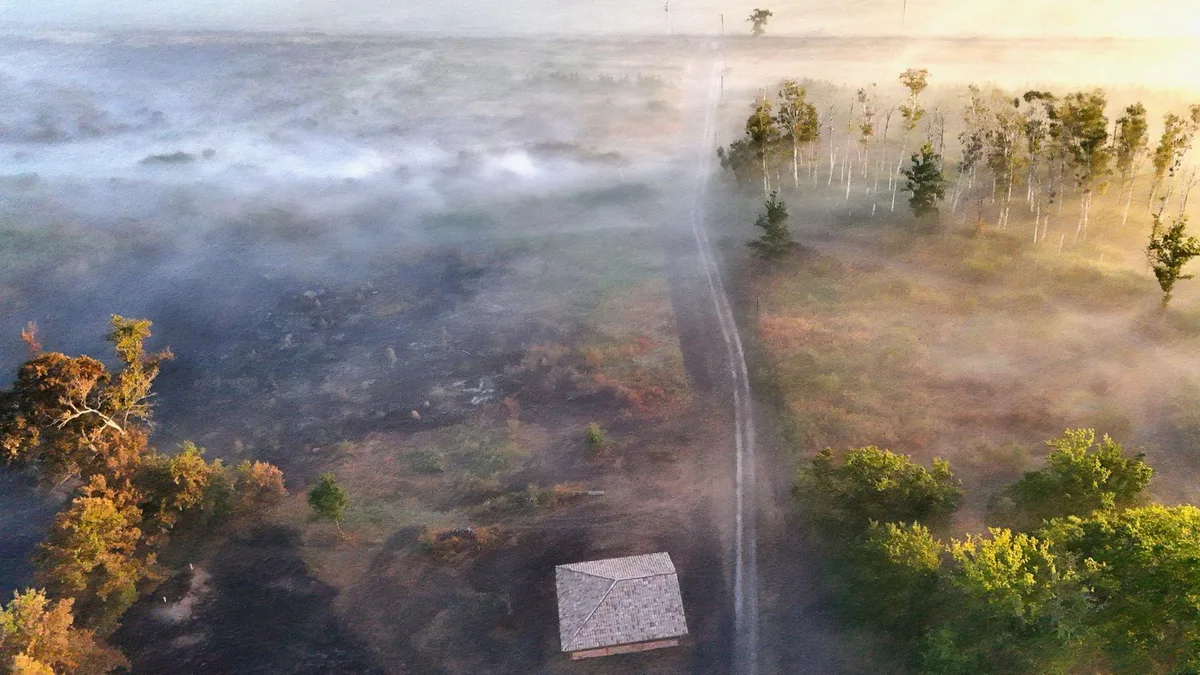 Nach Waldbrand in Südfrankreich: Wie kann der Wald resilienter werden?