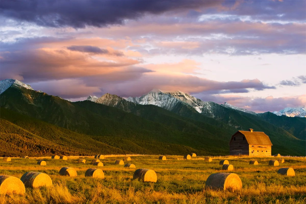 Geopolitics and grain don't mix, say these Montana farmers