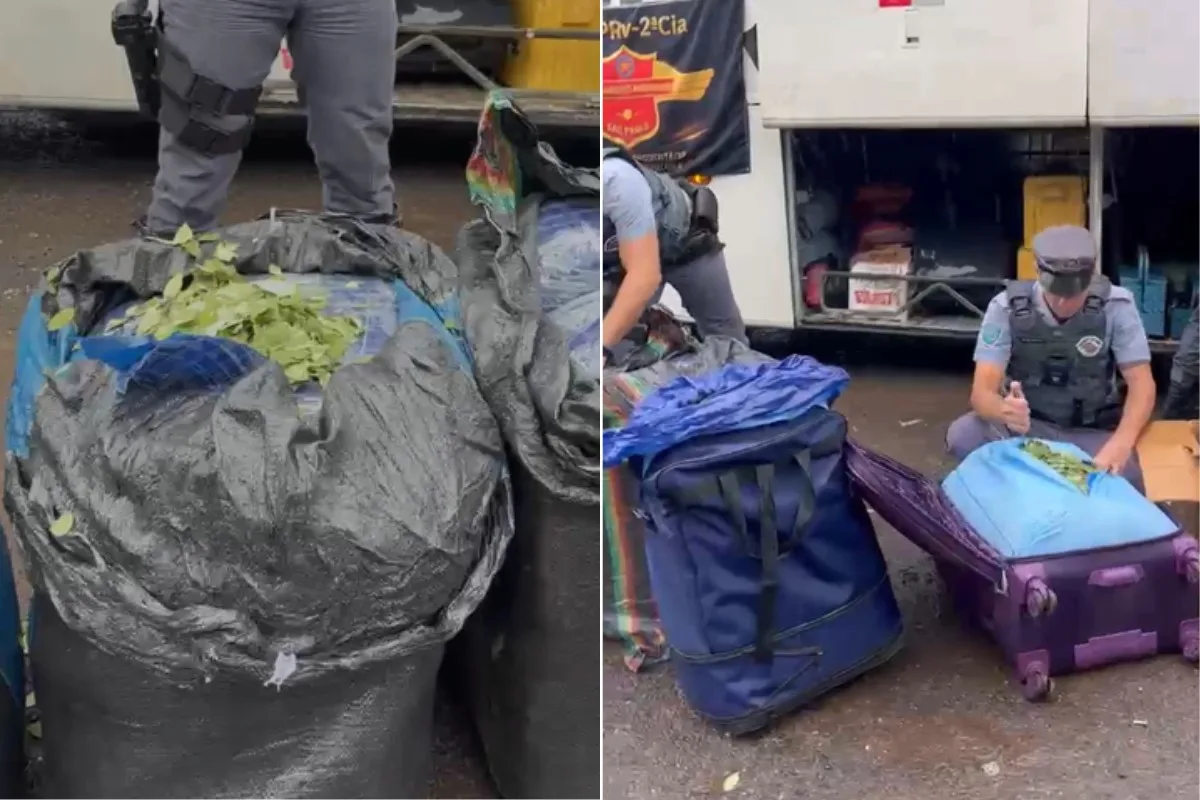 Polícia flagra bolivianos com quase 750 kg de folhas de coca em ônibus abordado no interior de SP