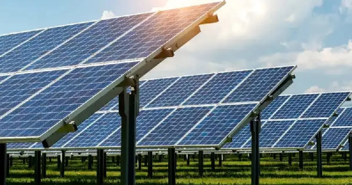 Un agricultor de Massachusetts ha instalado 832 paneles solares con sistema de seguimiento sobre sus cultivos. Ahora, la tierra produce alimentos, electricidad e ingresos agrícolas adicionales al mismo tiempo