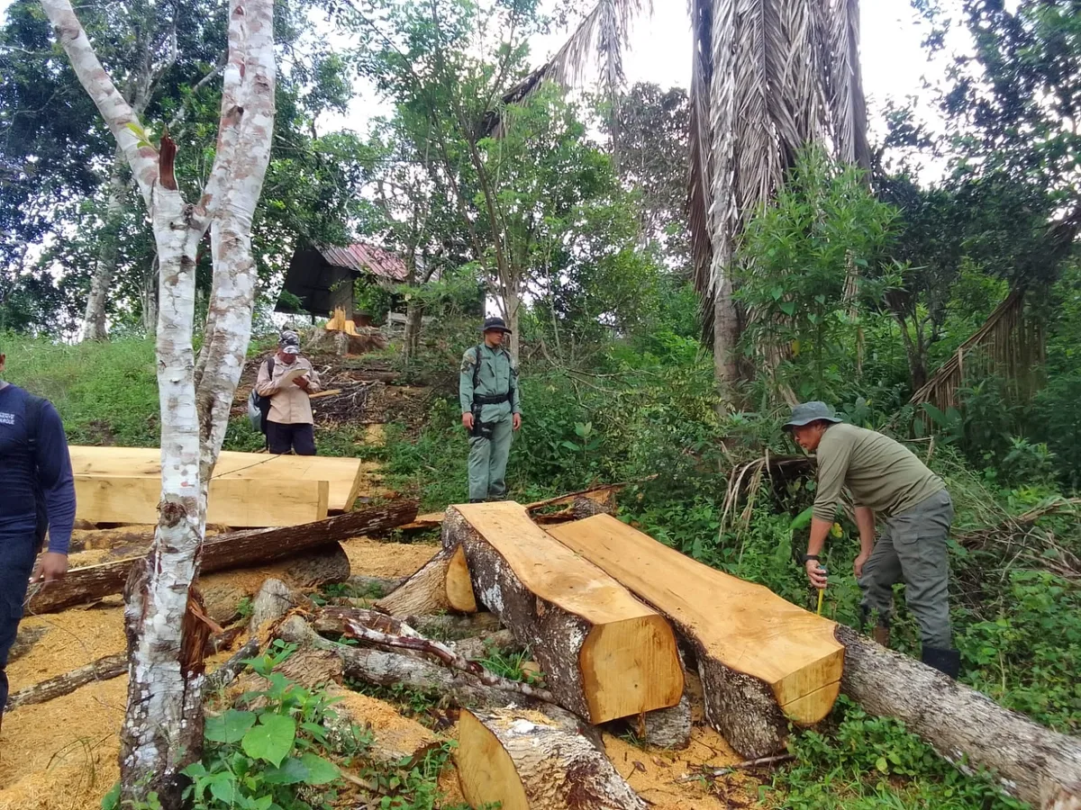 Delitos ambientales aumentan 21% en Panamá