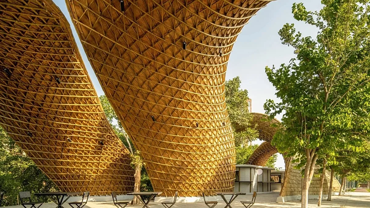 Telhados que recolhem chuva e arrefecimento natural: arquitetos inspiram-se na natureza