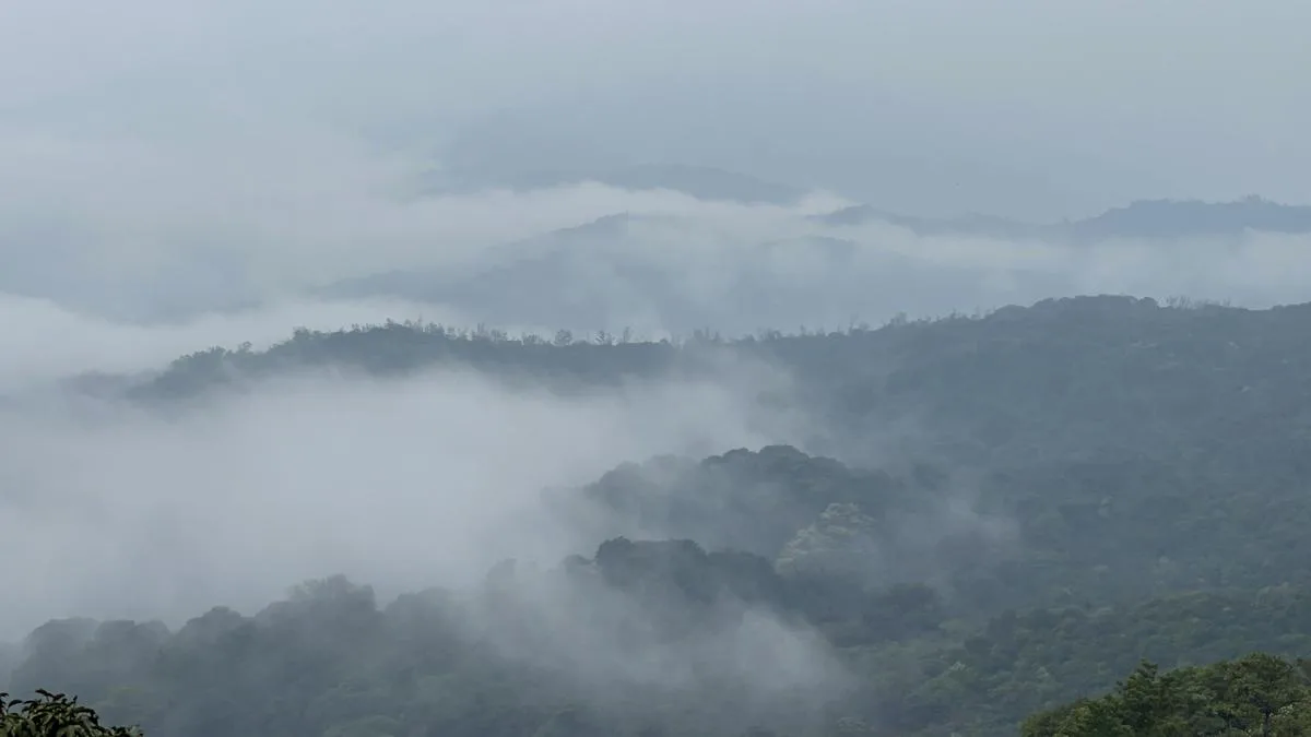 Saving the Western Ghats | Part 2 | In Focus Podcast