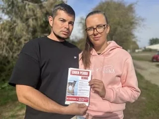 « On ne partira pas sans lui » : ces Allemands de passage dans l’Ouest recherchent leur chien disparu depuis dix jours