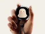 Meta launches an 'evil Tamagotchi': Muse Charm gadget lets you use AI without your phone or computer