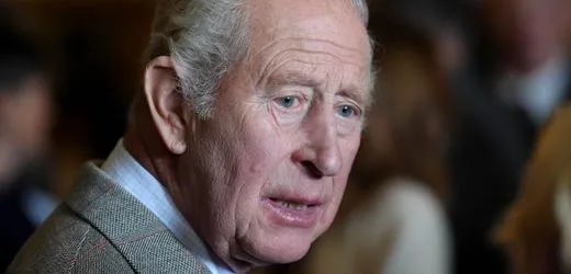 König Charles wirft Dianas Bruder Charles Spencer beeinträchtigtes Urteilsvermögen vor