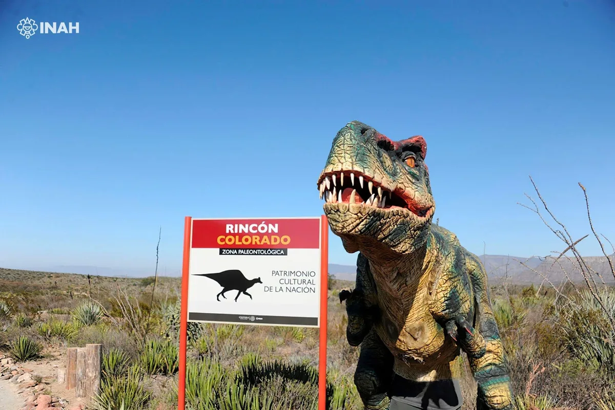 General Cepeda quiere ser el ‘Valle de los Dinosaurios’; proyectan invertir 10 mdp