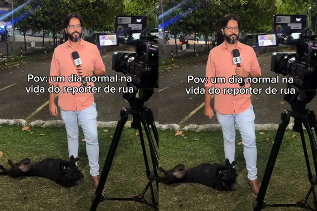 Repórter é surpreendido por cachorro durante entrada ao vivo. Veja