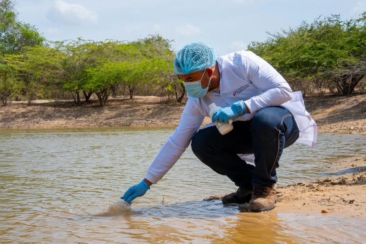 Alerta en La Guajira: Corte Constitucional evidenció que la población wayuu está consumiendo agua contaminada con heces de animales y partículas de plantas