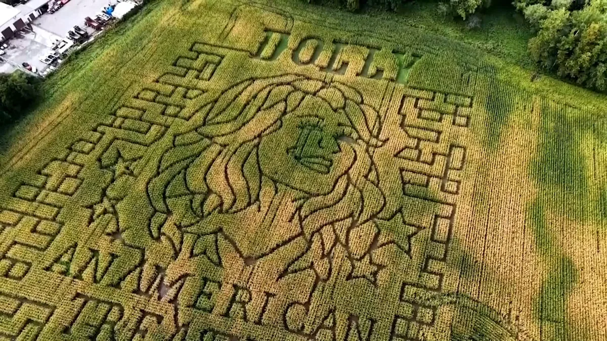 Dolly Parton aus Mais - 1,5 Kilometer führen durch ihr Mega-Porträt