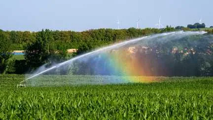 Mousseur, goutte-à-goutte, repérage des fuites… Quels sont les gestes à adopter individuellement et collectivement pour économiser l'eau ?