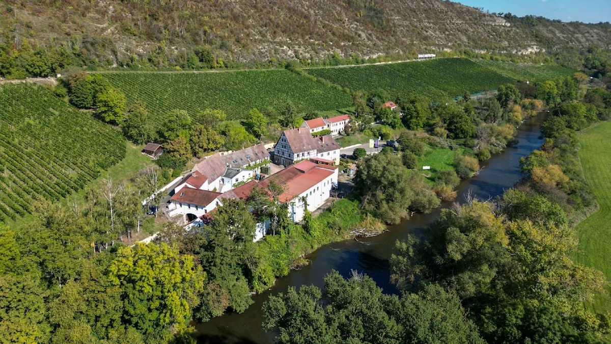 Das Größte der Region - Fast 900 Jahre altes Weingut steht vor der Pleite