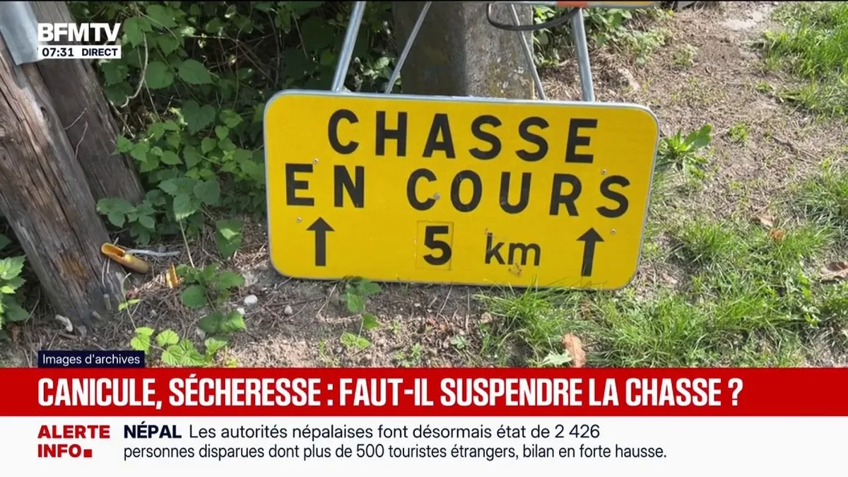 À cause des canicules à répétition, de la sécheresse et des incendies, des associations veulent repousser l'ouverture de la chasse "pour laisser le temps à la nature de se remettre"