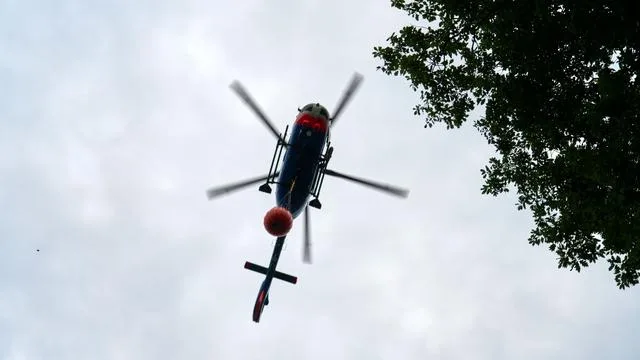 Großbrand in Rheinland-Pfalz: Waldbrand im Westerwald: Einsatzkräfte weiter vor Ort