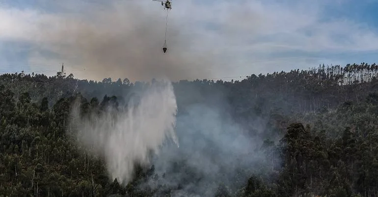 Menor de 13 anos suspeito de três incêndios em Tábua