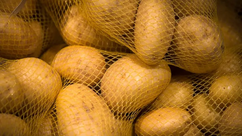 "L'un des plus importants décrochages de production jamais enregistrés": frappés par la sécheresse, les producteurs français de pommes de terre s'attendent à une "baisse massive" de la récolte "de l'ordre de –23%" en 2026