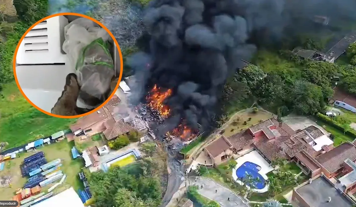 Por un voraz incendio, realizaron macabro hallazgo en fundación de animales cerca a Medellín: encontraron cadáveres de mascotas congelados