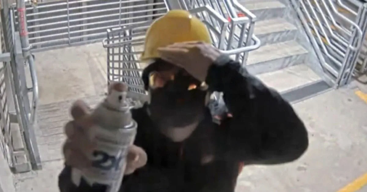 Security video helps lead to a masked killer who tried to hide the crime