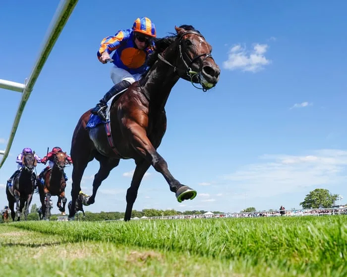 Constitution River gets immediate chance to fill Bow Echo void at York