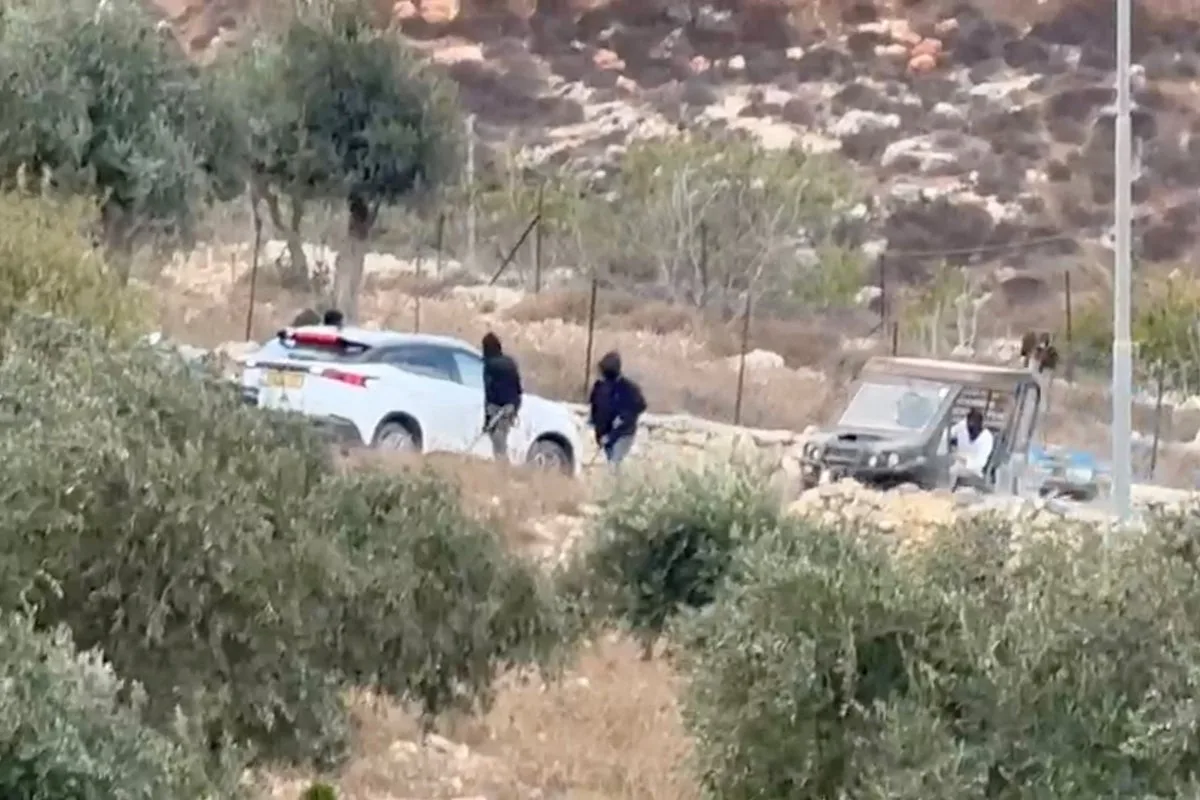 Palestinians and European diplomats attacked by Israeli settlers in West Bank
