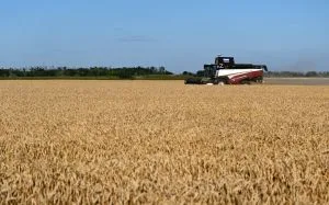 El Niño deve ser forte, mas atual sistema alimentar global está mais resiliente