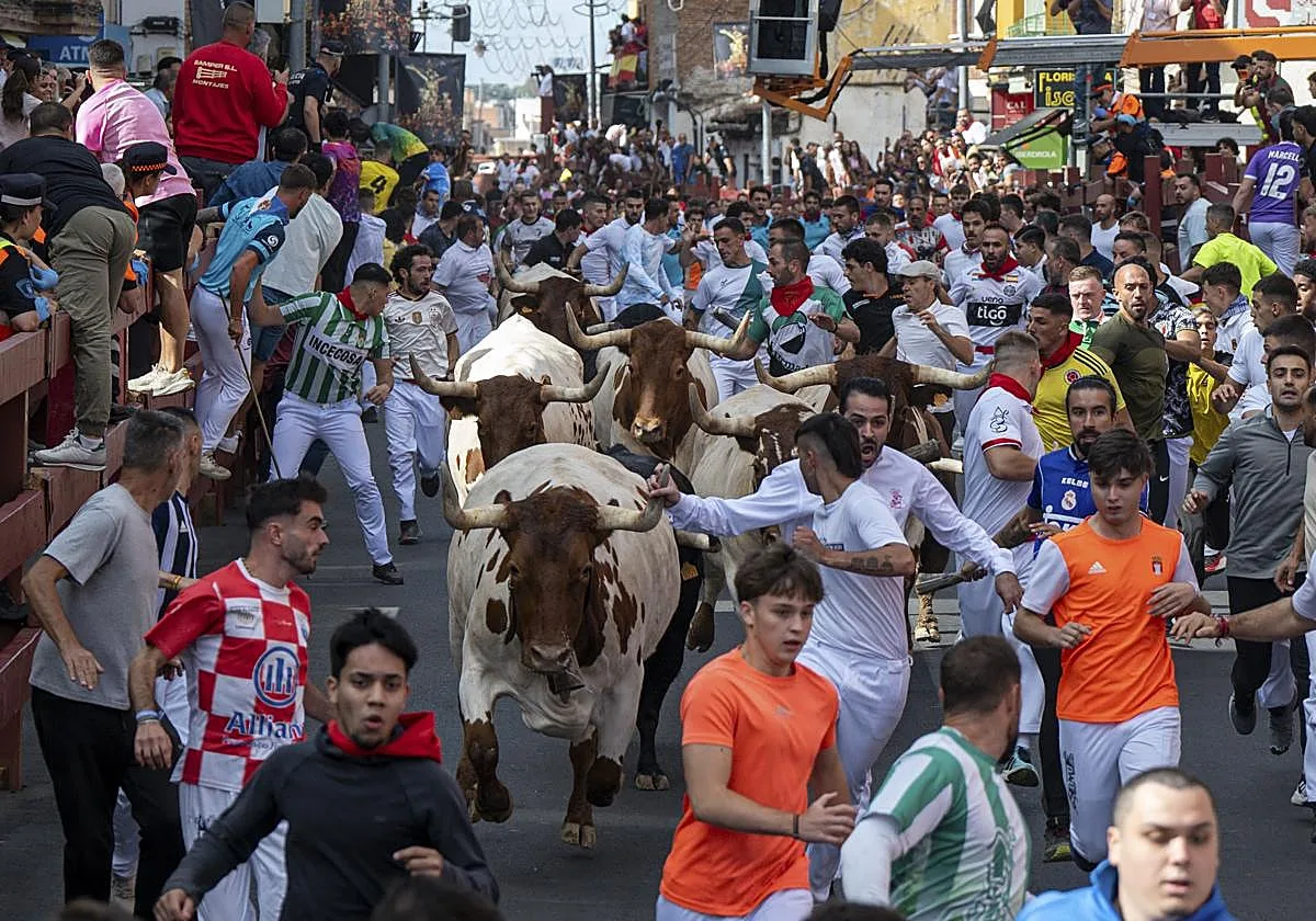 Fiestas San Sebastián de los Reyes 2026: programa, actividades, horarios y conciertos gratis